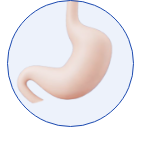 gastroskopija-medici-JJ